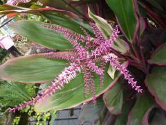 Sunday November 07, 2010 12:44 - P1010431.JPG