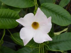 Sunday November 07, 2010 12:45 - P1010433.JPG