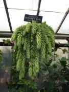 Sunday November 07, 2010 12:46 - P1010434.JPG