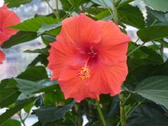 Sunday November 07, 2010 12:51 - P1010438.JPG