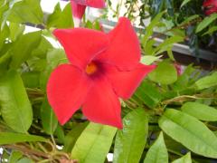 Sunday November 07, 2010 12:52 - P1010439.JPG