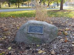 Sunday November 07, 2010 12:56 - P1010440.JPG