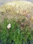 Tuesday July 12, 2011 10:25 - 100_1091.JPG