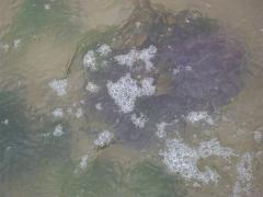 Tuesday July 12, 2011 10:49 - 100_1114.JPG