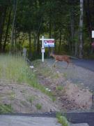 Friday July 01, 2011 20:46 - P1020398.JPG