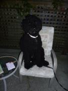 Monday July 04, 2011 18:56 - P1020418.JPG