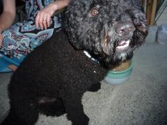 Monday July 04, 2011 19:00 - P1020428.JPG