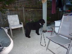 Monday July 04, 2011 19:01 - P1020432.JPG