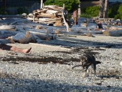 Tuesday July 05, 2011 18:47 - P1020467.JPG