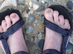 Tuesday July 05, 2011 18:53 - P1020472.JPG