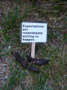 Wednesday July 06, 2011 08:36 - P1020477.JPG