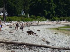 Wednesday July 06, 2011 13:20 - P1020487.JPG