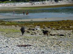 Wednesday July 06, 2011 13:20 - P1020488.JPG