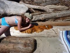 Wednesday July 06, 2011 14:22 - P1020489.JPG