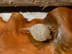 Wednesday July 06, 2011 14:25 - P1020492.JPG