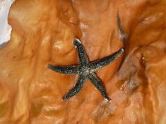 Wednesday July 06, 2011 14:25 - P1020493.JPG