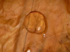 Wednesday July 06, 2011 14:25 - P1020495.JPG