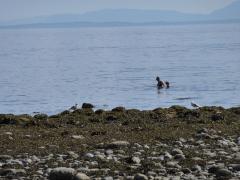 Wednesday July 06, 2011 16:24 - P1020501.JPG