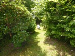 Friday July 08, 2011 15:24 - P1020554.JPG