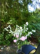 Saturday July 09, 2011 09:38 - P1020574.JPG