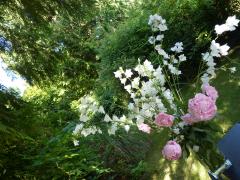 Saturday July 09, 2011 09:38 - P1020575.JPG