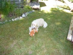 Saturday July 09, 2011 15:35 - P1020582.JPG