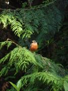 Saturday July 09, 2011 16:38 - P1020586.JPG