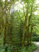 Sunday July 10, 2011 09:03 - P1020604.JPG