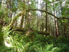 Sunday July 10, 2011 09:13 - P1020609.JPG