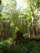 Sunday July 10, 2011 09:17 - P1020611.JPG