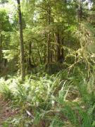 Sunday July 10, 2011 09:21 - P1020614.JPG