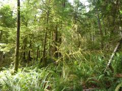 Sunday July 10, 2011 09:21 - P1020615.JPG