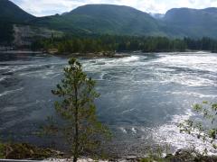 Sunday July 10, 2011 09:47 - P1020617.JPG