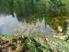 Sunday July 10, 2011 09:54 - P1020619.JPG