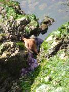 Sunday July 10, 2011 10:00 - P1020621.JPG