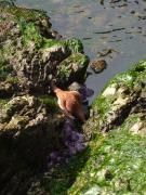 Sunday July 10, 2011 10:00 - P1020622.JPG