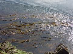 Sunday July 10, 2011 10:05 - P1020625.JPG