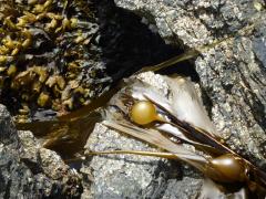 Sunday July 10, 2011 10:07 - P1020626.JPG