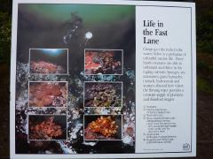 Sunday July 10, 2011 10:31 - P1020630.JPG