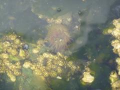 Sunday July 10, 2011 10:35 - P1020633.JPG