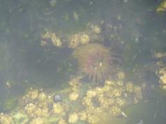 Sunday July 10, 2011 10:35 - P1020635.JPG