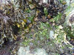 Sunday July 10, 2011 10:41 - P1020639.JPG