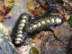 Sunday July 10, 2011 10:47 - P1020640.JPG