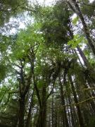 Sunday July 10, 2011 11:43 - P1020649.JPG