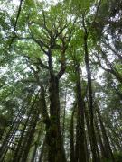 Sunday July 10, 2011 11:43 - P1020650.JPG