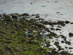 Monday July 11, 2011 10:19 - P1020666.JPG