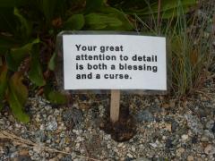 Monday July 11, 2011 10:25 - P1020669.JPG