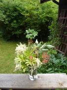 Monday July 11, 2011 17:48 - P1020690.JPG