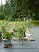 Monday July 11, 2011 17:54 - P1020693.JPG