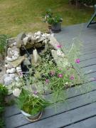 Monday July 11, 2011 17:54 - P1020694.JPG